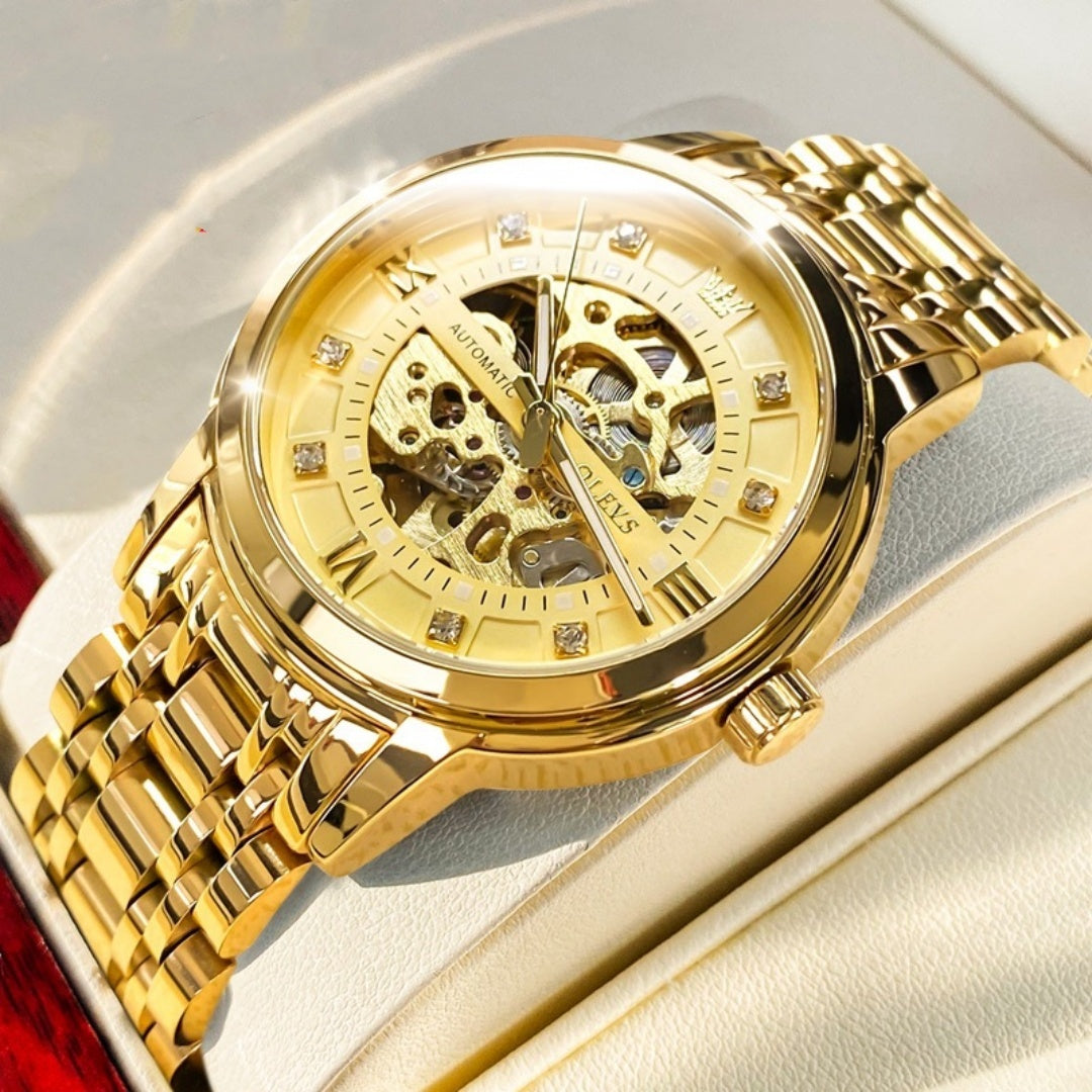 Men's Automatic Mechanical Hollowing Watch Dujana147