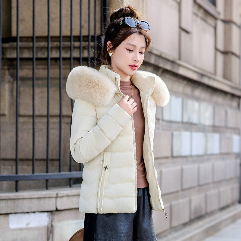 Removable Cap Down Cotton Small Padded Jacket