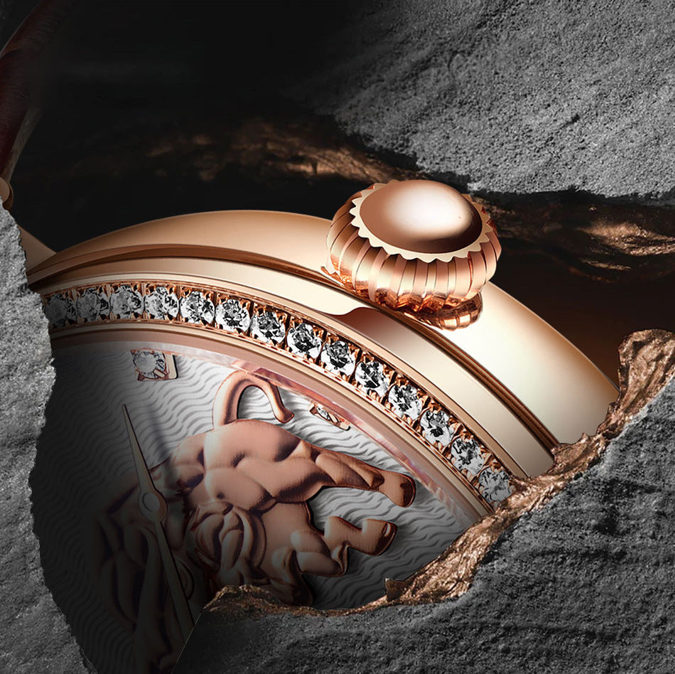 Diamond-embedded Commemorative Watch Waterproof Famous Watch Mechanical Watch Watch Dujana147