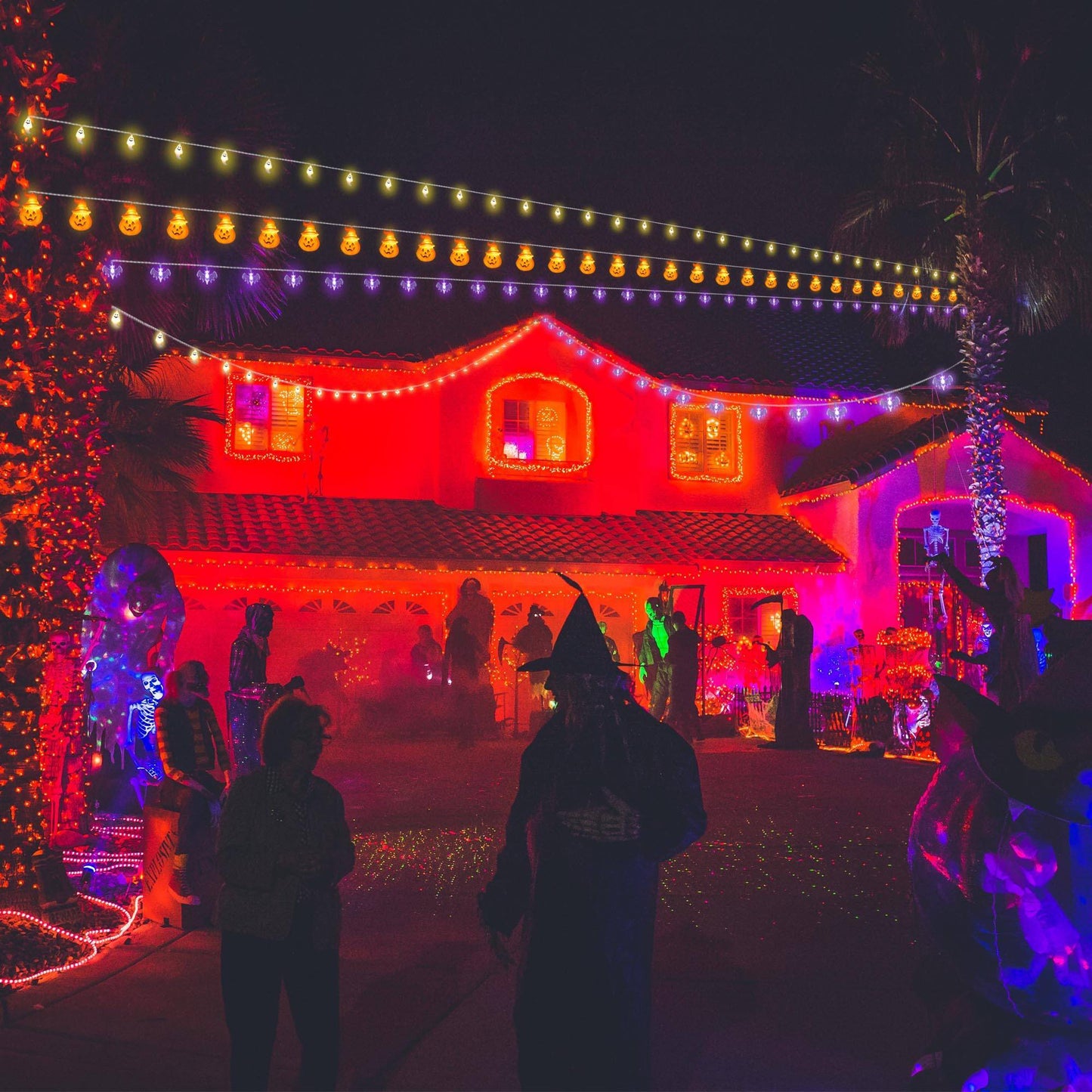 Halloween String Lights Dujana147